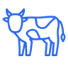 Cows